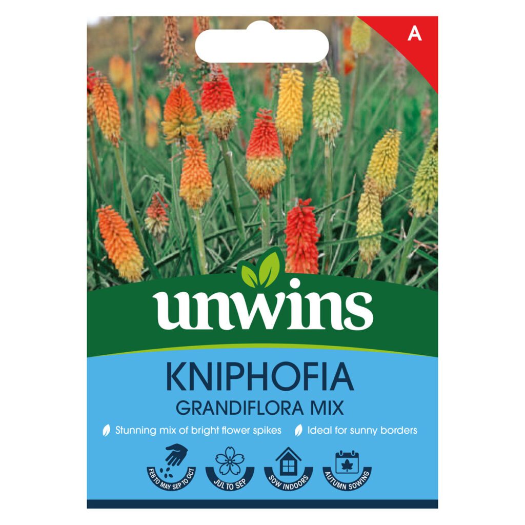 Unwins Kniphofia Grandiflora Mix Seeds 5051618035460 2